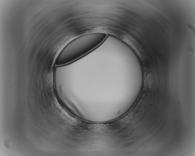 X0000100851092200807111210