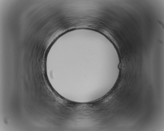 X0000100851093200807111210