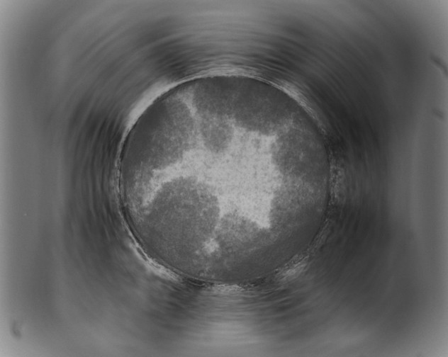 X0000100851094200807111210