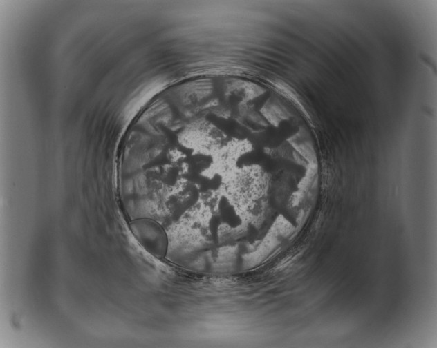 X0000100851095200807111210