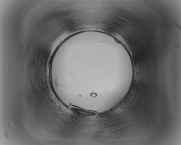 X0000100851096200807111210