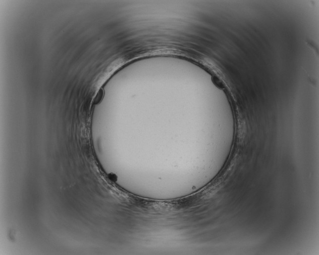 X0000100851097200807111210