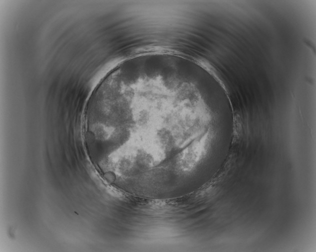 X0000100851098200807111210