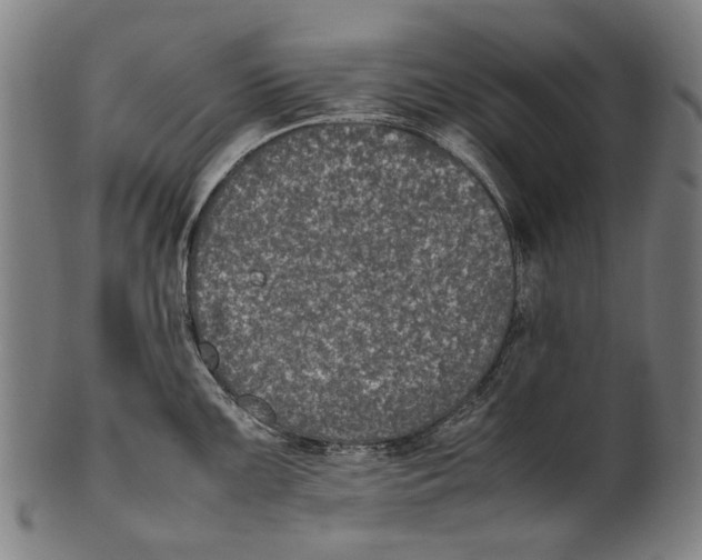 X0000100851099200807111210