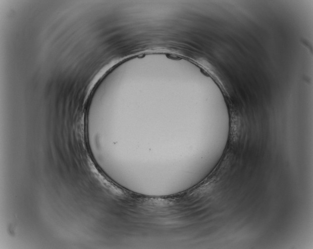 X0000100851100200807111210