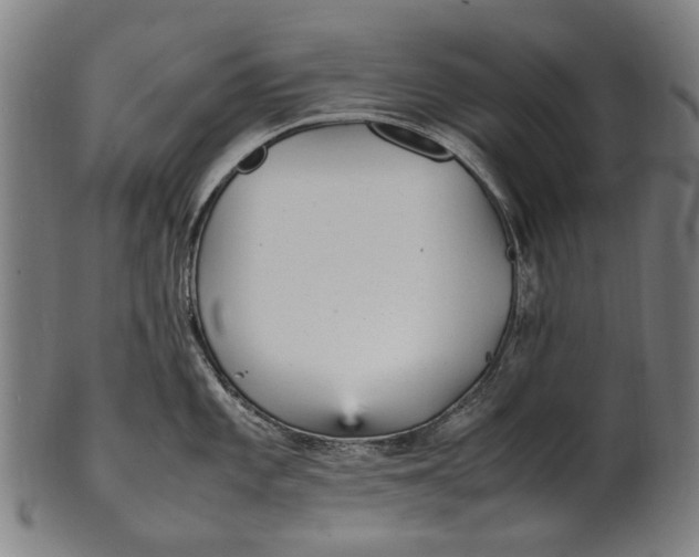 X0000100851101200807111210