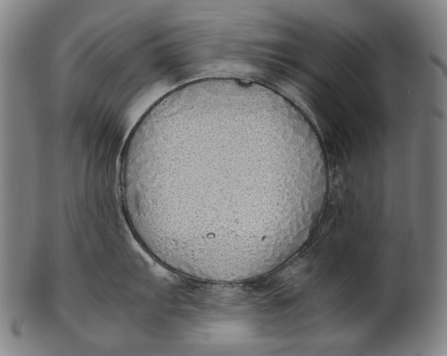 X0000100851103200807111210