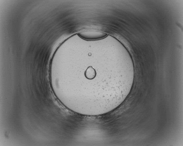 X0000100851104200807111210