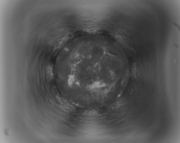 X0000100851106200807111209