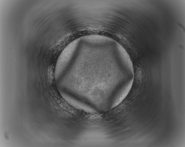 X0000100851110200807111209