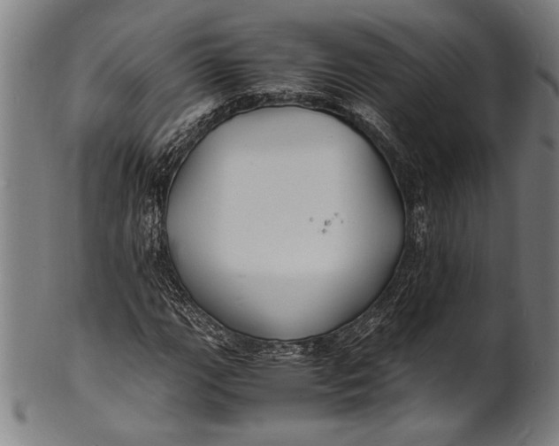 X0000100851111200807111209