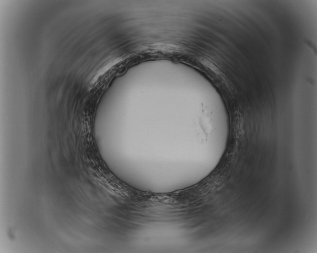 X0000100851112200807111209