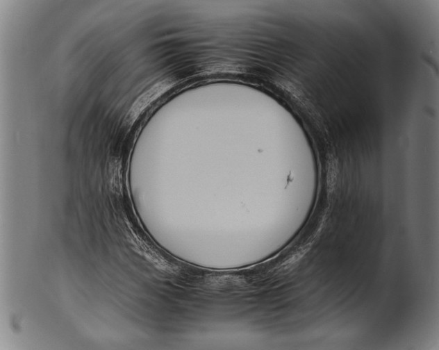 X0000100851113200807111209