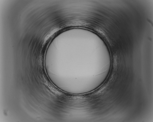 X0000100851114200807111209