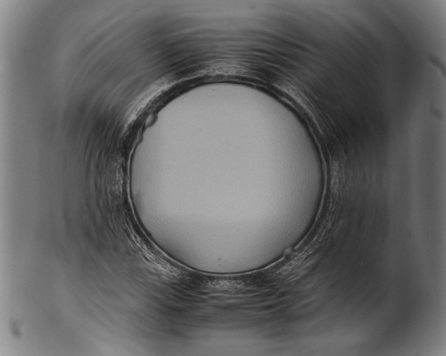 X0000100851115200807111209