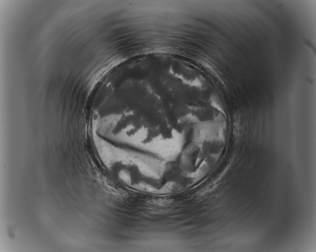 X0000100851117200807111209