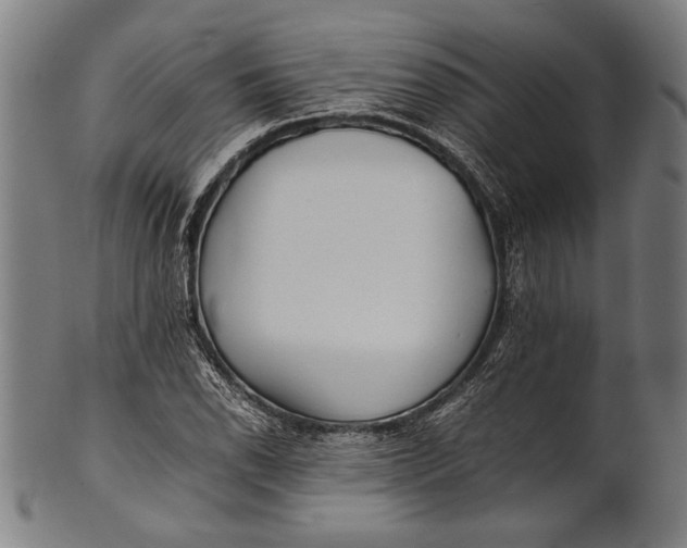 X0000100851118200807111209