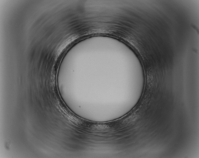 X0000100851119200807111209