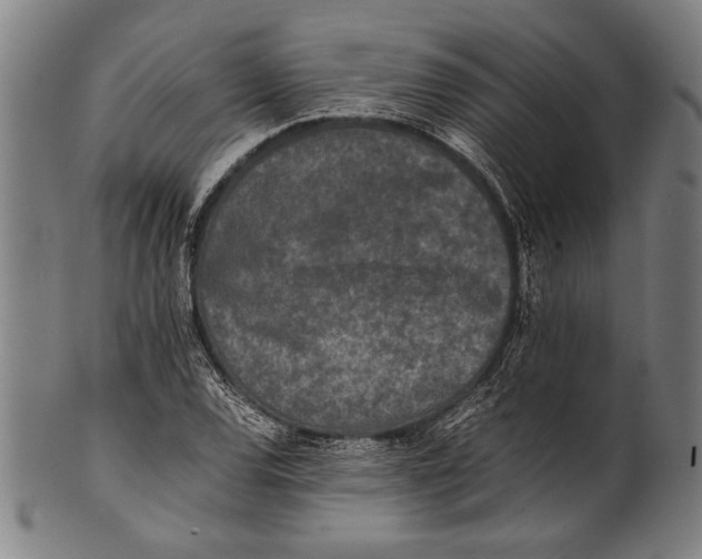 X0000100851120200807111209