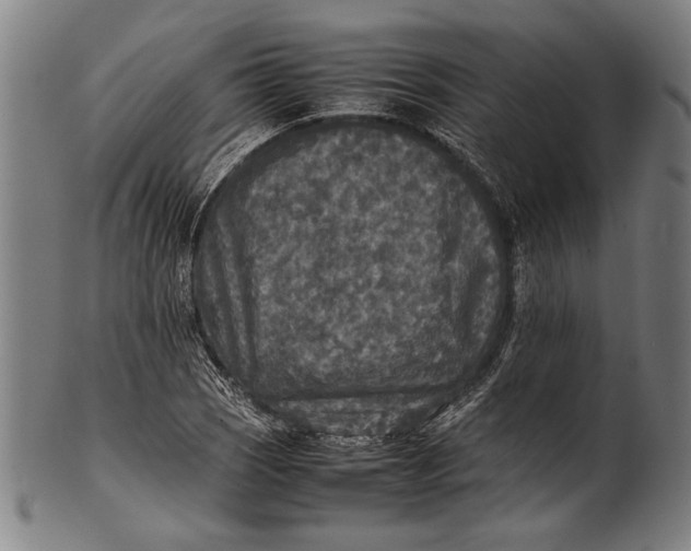 X0000100851121200807111209