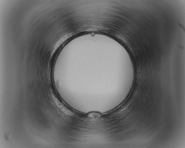 X0000100851122200807111209