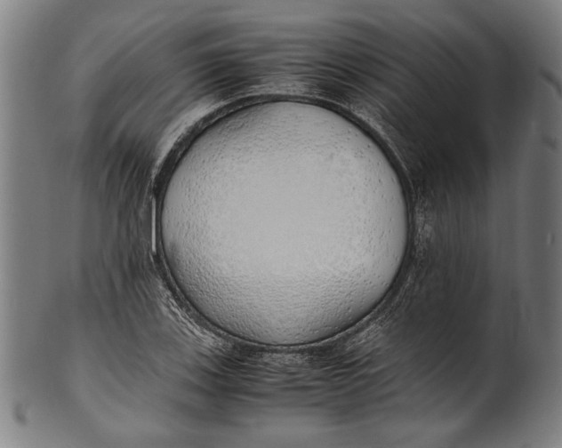 X0000100851123200807111209