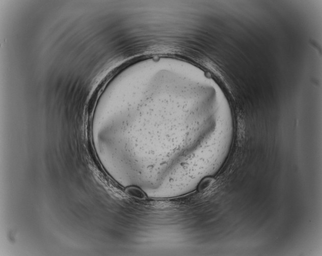 X0000100851124200807111209