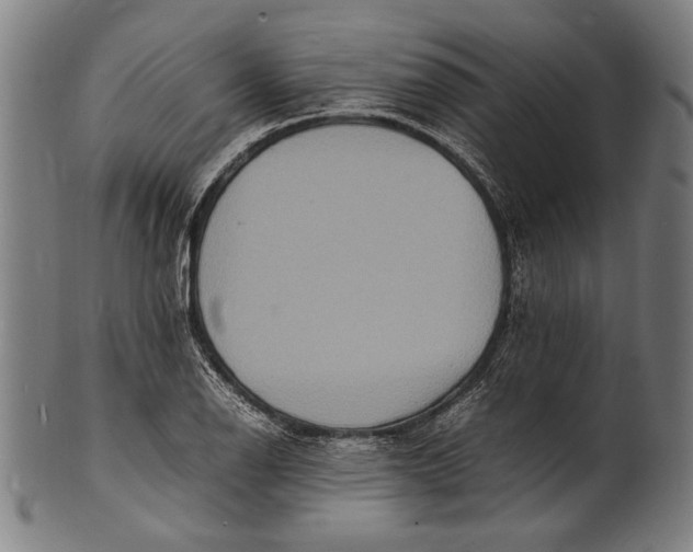 X0000100851126200807111209