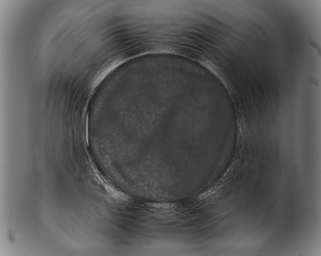 X0000100851127200807111209