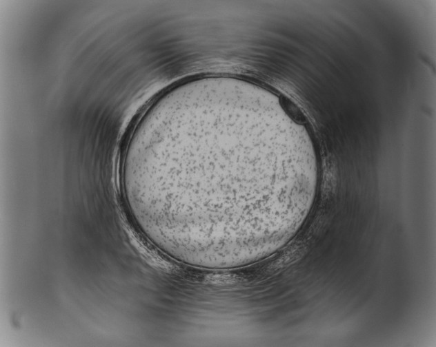 X0000100851128200807111209