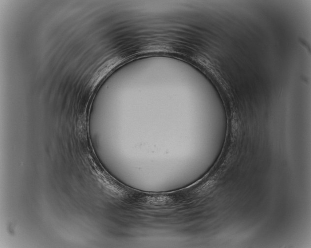 X0000100851129200807111209