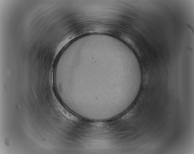 X0000100851130200807111209