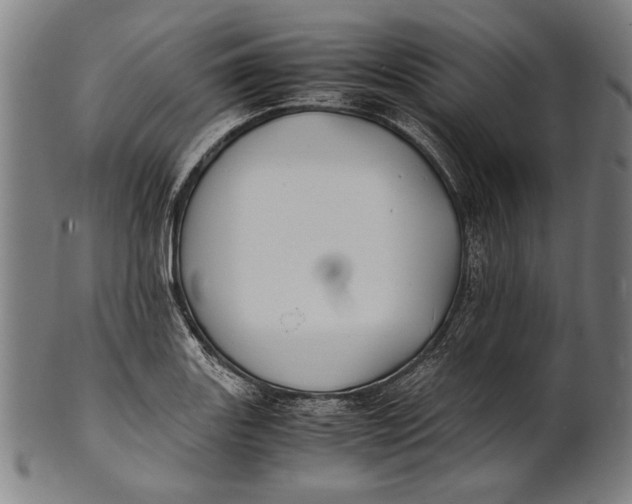 X0000100851131200807111209