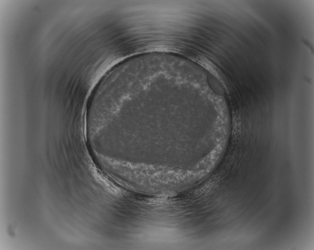 X0000100851132200807111209