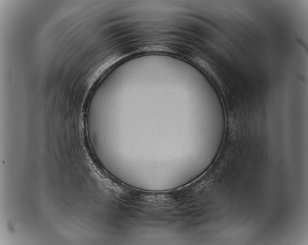 X0000100851133200807111209