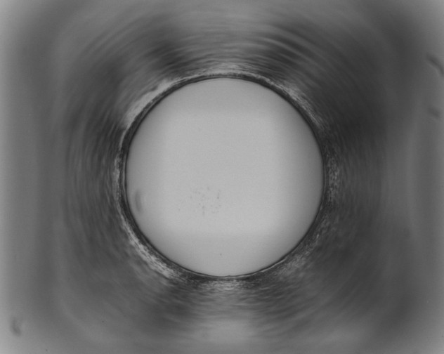 X0000100851134200807111209