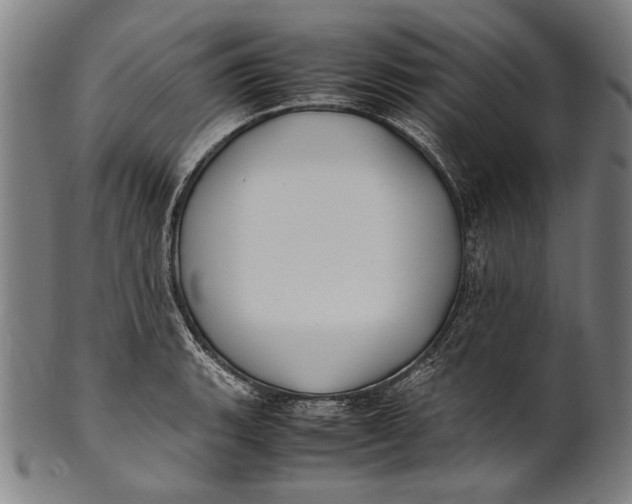 X0000100851135200807111209