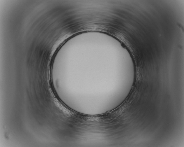 X0000100851136200807111209