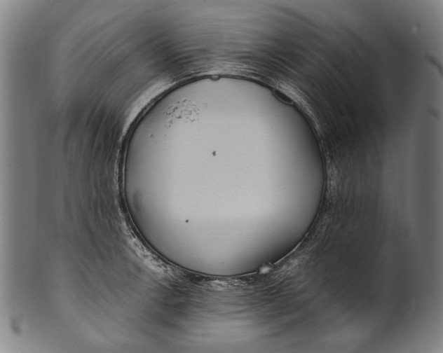 X0000100851138200807111209