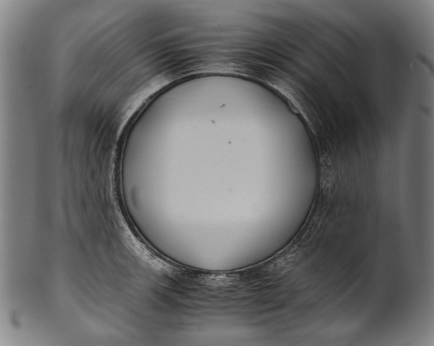 X0000100851139200807111209