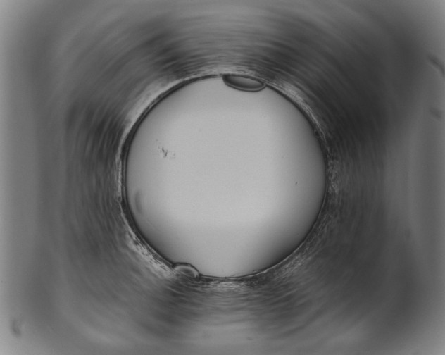 X0000100851140200807111209