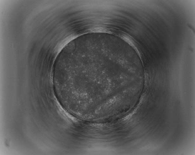 X0000100851141200807111209