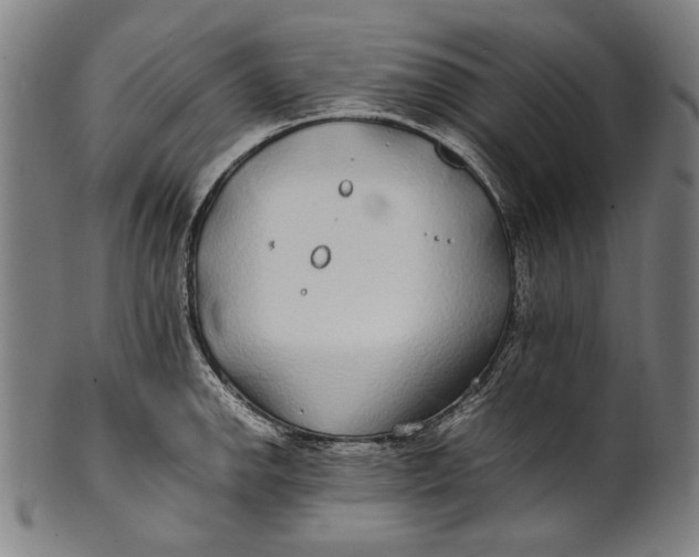 X0000100851142200807111209