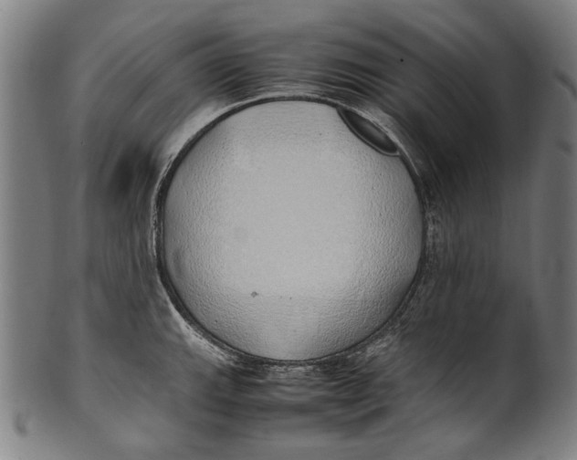 X0000100851143200807111210