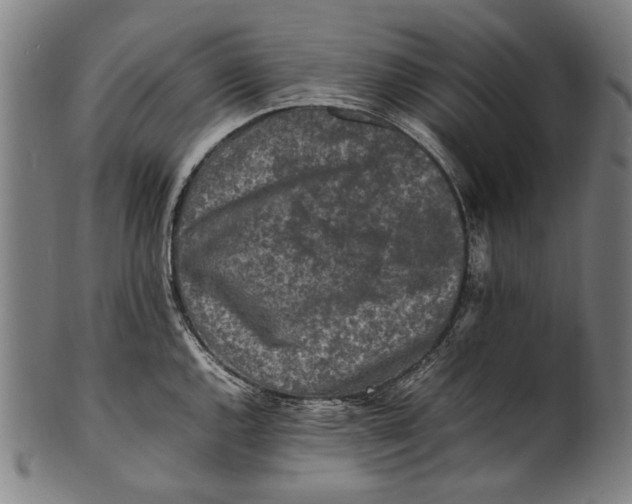 X0000100851144200807111210