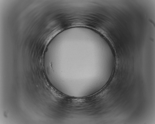 X0000100851145200807111210