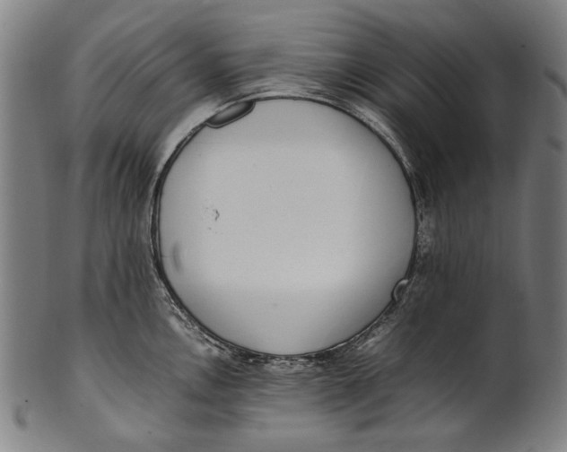 X0000100851146200807111210