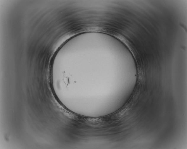 X0000100851147200807111210