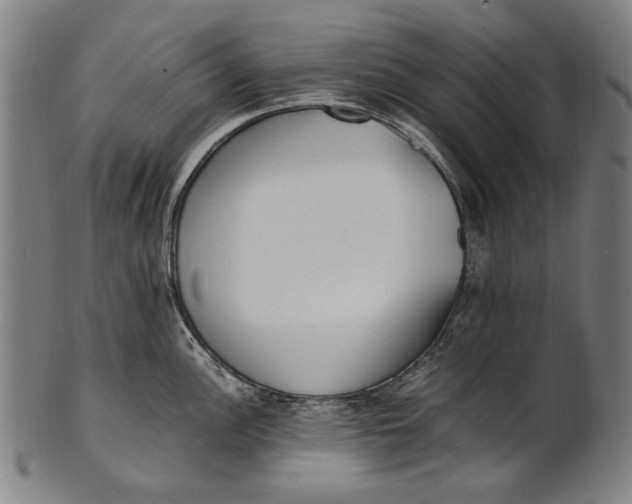 X0000100851148200807111210