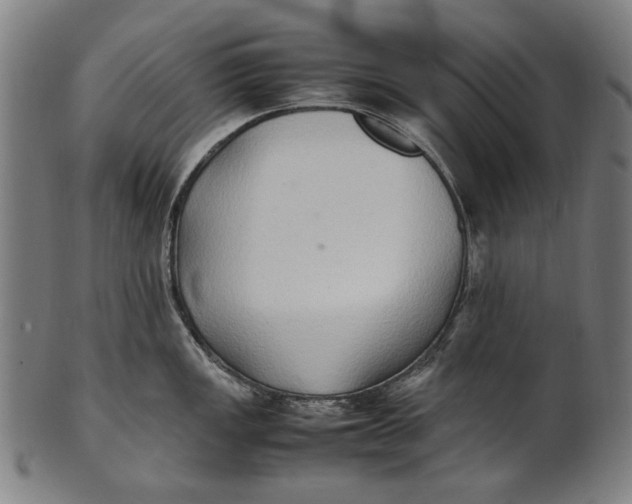 X0000100851149200807111210